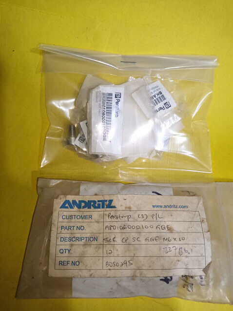 SCR CP SC GGE M6x10 NSM A4-70 Andritz A80106000100 GGE Screw - Image 6