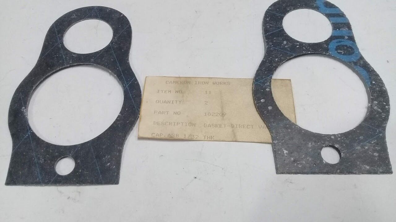 Cameron International Corporation 102209 Gasket 2pcs For Direct Valve Marine - Image 7