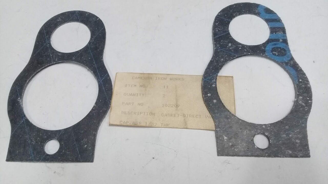 Cameron International Corporation 102209 Gasket 2pcs For Direct Valve Marine - Image 6