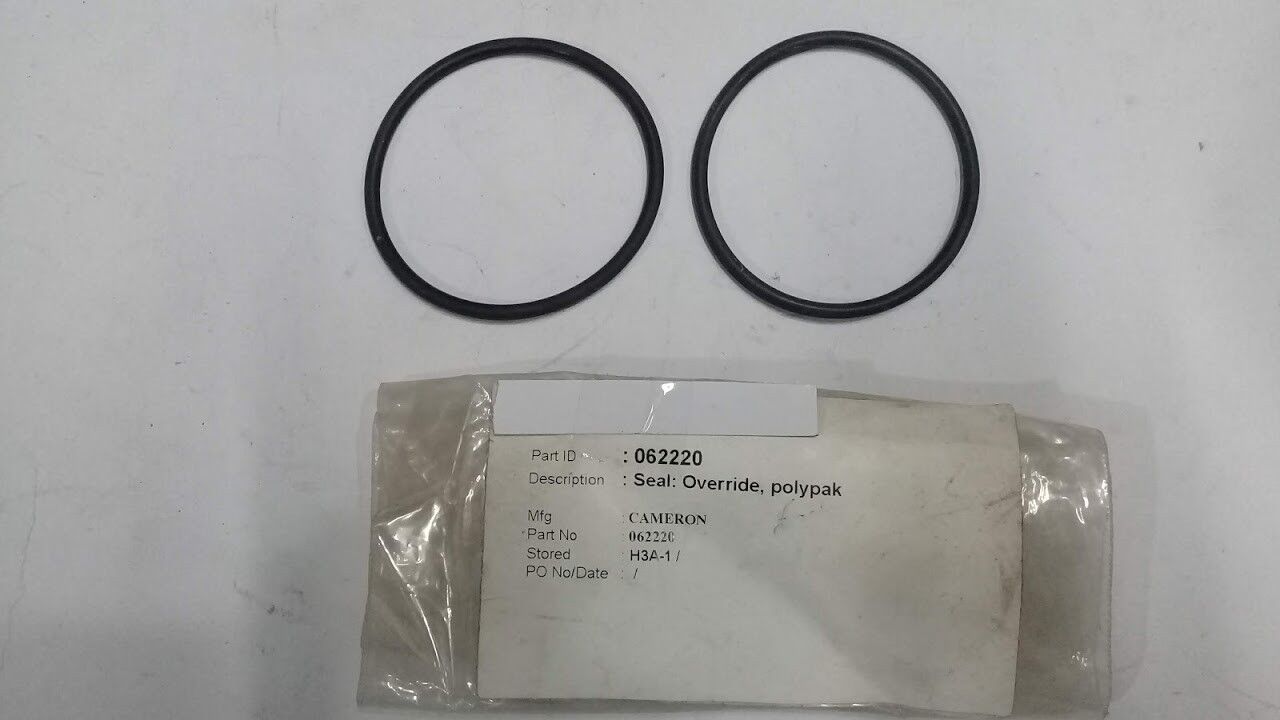 Cameron International Corporation 062220 Seal 2pcs For Hydraulic Override Polypa - Image 3